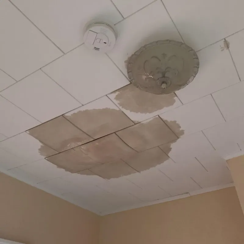 Ceiling Water Damage Repair in Canton Valley, CT