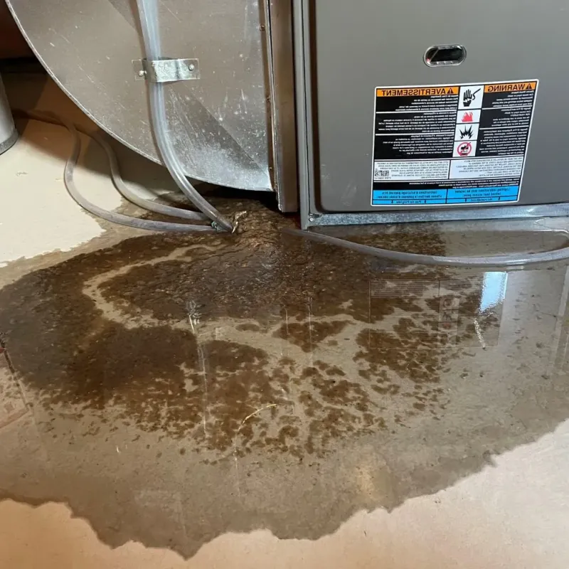 Pipe Burst and Leak Restoration in Canton Valley, CT