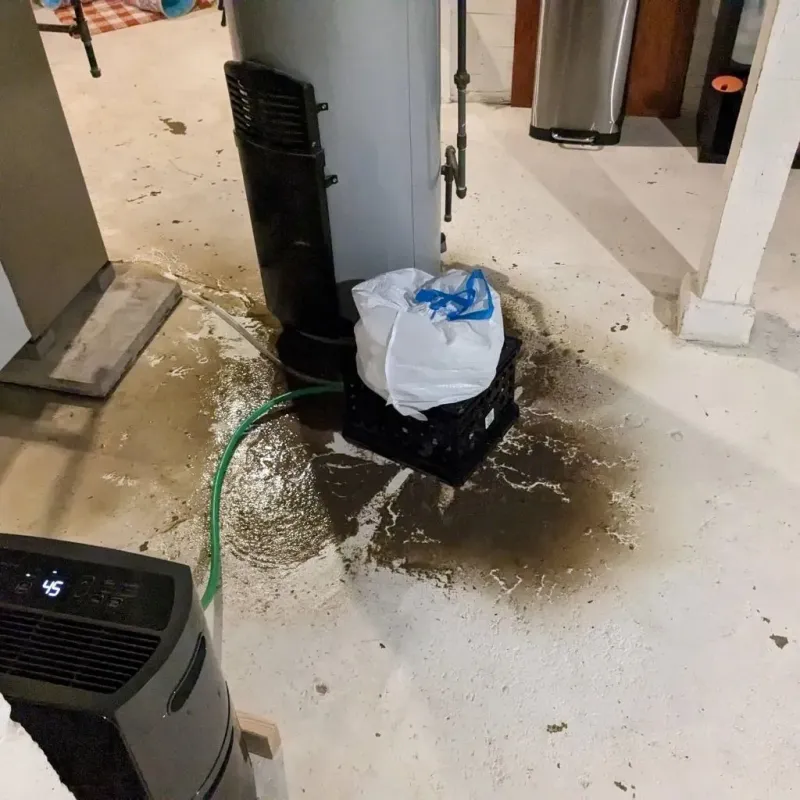 Sewage Backup Cleanup Service in Canton Valley, CT